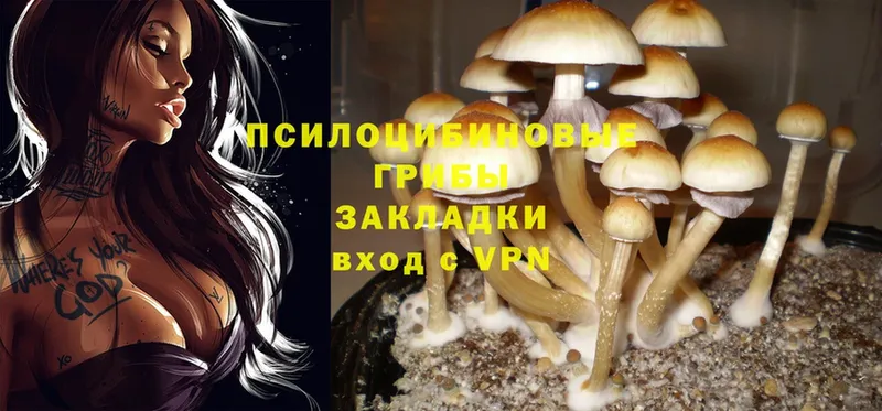 наркотики  дарк нет формула  omg как войти  Псилоцибиновые грибы MAGIC MUSHROOMS  Белая Калитва 